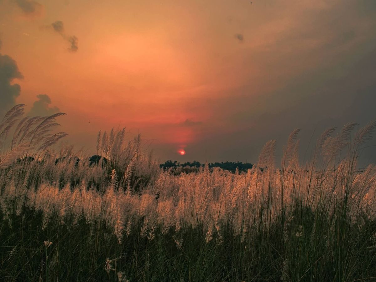 test 3 - Image 1