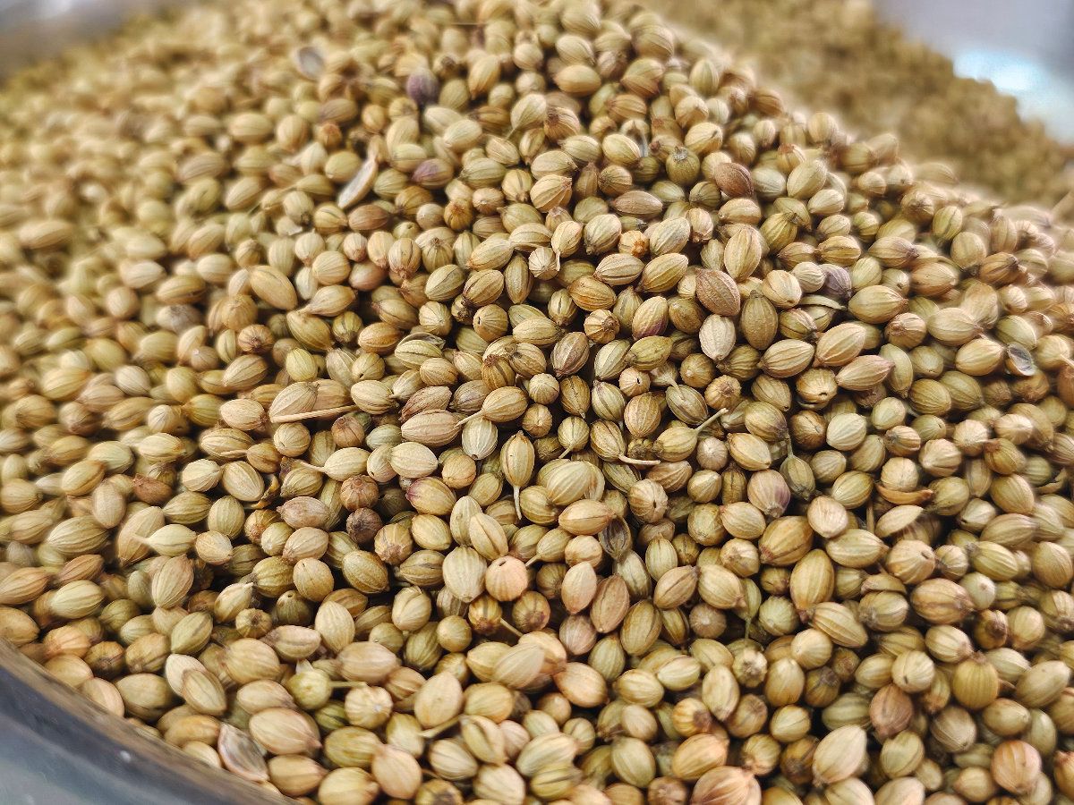 ধনিয়া গুঁড়ো - Image 2