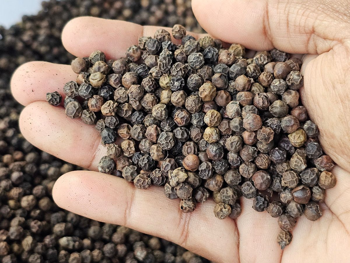 গোলমরিচ গুঁড়ো - Image 1